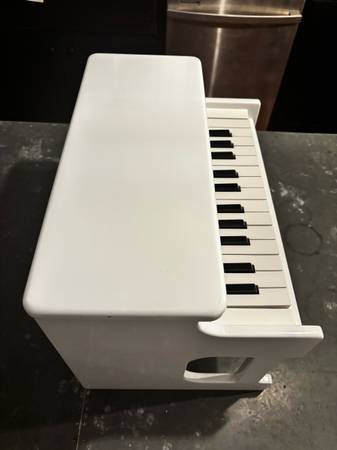 Korg Tiny Piano - $120 (Washington, DC)63471146232451124