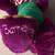 VINTAGE 1992 Christmas Barney Plush - Large 22" - Collector Ed. 8 thumbnail
