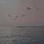 German W Vennekamp Maritime Sailing Ship Oil Painting 3 thumbnail
