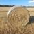 Coastal Round Bale Hay 2 thumbnail