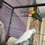 Love bird 3 thumbnail