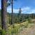 New lodge mountain home on 23 subdivided acres 3 thumbnail