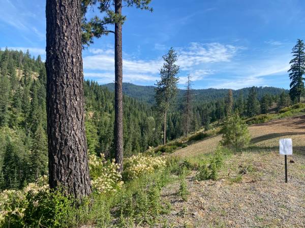 $3,745,000 / 4br - 3654ft2 - New lodge mountain home on 23 subdivided acres (Couer d'Alene, ID)63701073543811122