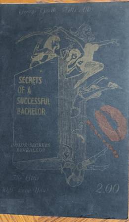 Secrets of a Successful Bachelor 1
