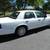 2009 Mercury Grand Marquis LS / ULTIMATE EDITION / LOW MILES! 4 thumbnail