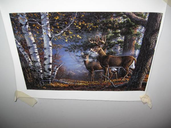 James Meger - Cold Snap - Whitetail Deer Canvas 13.75 x 9.25 Inches 1