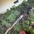 SHRUB REMOVE SERVICES WE HAVE THE RIGHT TOOLS 1 thumbnail