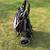 Graco single stroller 9 thumbnail