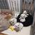 Bichon Maltese 1 thumbnail