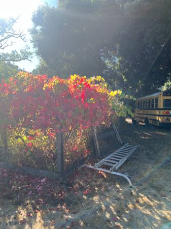 $1,300 / 2500ft2 - Large Secluded Private RV or Trailer Space for Rent in West Marin (fairfax)63946805393794122