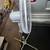 electric fan 2 thumbnail