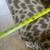 2 Matching Animal Print Chairs 10 thumbnail