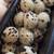 Chicken, Quail and Duck Eggs For Sale 2 thumbnail