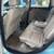 2013 Ford Escape 6 thumbnail
