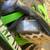 Kawasaki  2000 KX125 10 thumbnail