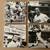 Minnesota Twins HOF Coaster Set of 4 1 thumbnail