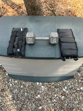 Ankle Weights (10lbs) & Dumbbell (20lbs) 1