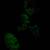 R MARINO  vintage 90s 3D GLOW IN THE DARK  wall heads 22 thumbnail