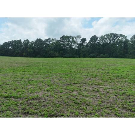 $108.900, 7 acres en venta - a 60 minutos de Huntsville, AL (Pisgah)63439812502017124