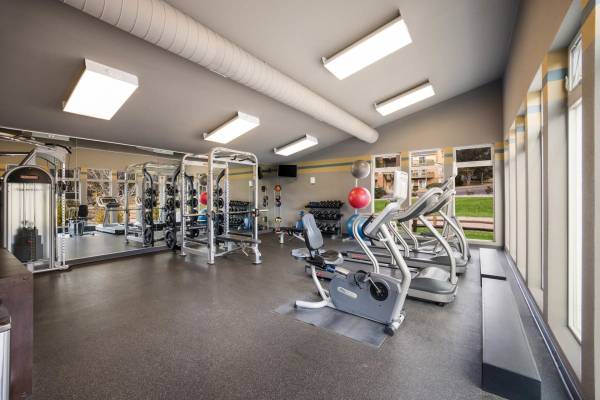 $1,595 / 2br - 970ft2 - Parque para perros, cancha de voleibol playero, arrendamiento a corto plazo (2880 Woodland Hills Dr, Colorado Springs, CO)63687067094145124