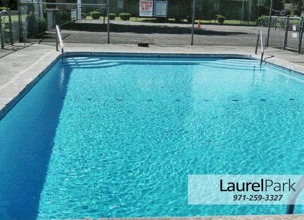 $1,350 / 1br - Quiet 1 Bed for RENT! || Small-Town Atmosphere, Upscale Interiors (Keizer)63660394612867120