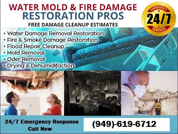 🌊️Water Damage-Mold Damage-Cleanup & Removal Service |Free Estimate| 1