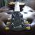 Need a Guitar Setup or Repair? – St. Louis 8 thumbnail