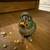 Turquoise Conure 3 thumbnail