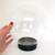 Large Clear Glass Globe Vase with Black Plastic Base (Flower Aquarium) 3 thumbnail