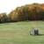 1/2 Acre Building Site: Plum City, Wisconsin 1 thumbnail