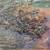 23x20 3D texture meditating tree canvas 2 thumbnail
