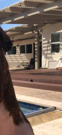 timbertech synthetic decking boards for a 16footx16 foot deck 1