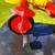 DISNEY CARS TRIKE - PUSH OR PEDDLE - 8 thumbnail