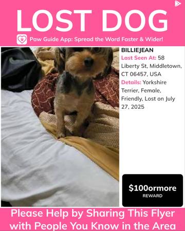 Stolen emotional support dog Billie Jean Mears 1