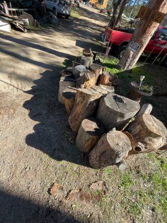 Free Firewood 1