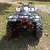 Yamaha Grizzly 450 - S.E. 4 thumbnail