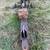 Log Splitter 3 thumbnail
