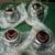 1977-1981 Pontiac firebird, formula , trans am center caps 2 thumbnail