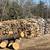 Oak/cherry FIREWOOD 2 thumbnail