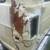 Wanted Parts van 92 Dodge body style or the body section shown in the picture . 3 thumbnail