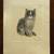 Signed Kurt Meyer-Eberhardt-Cat Print - $250.00 (Highly Collectible). 1 thumbnail