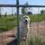 !Poultry Safe! Livestock Guardian Dog LGD 1 thumbnail
