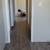 Beatuiful 2 Bed 1 Bath, everything Upgraded, Section 8 Welcome 8 thumbnail