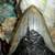 MEGALODON Fossil Giant Shark Tooth All Natural 7 thumbnail
