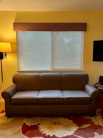 Hide-a-Bed Sofa (Couch) 1