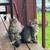 Mouse traps/kittens 1 thumbnail