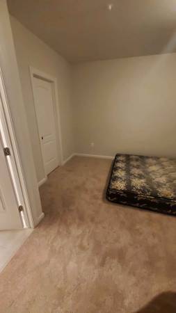 $1,100 / 1br - Habitación grande en alquiler en un sótano (Brandywine)63611883958145122