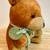 Vintage Bronx Zoo Souvenir Teddy Bear 5 thumbnail