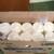 WinCup Foam Cup Multi-Purpose PLASTIC LIDS ♦ Food Truck Vendor / Cart 4 thumbnail