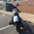 H-D Certified 2021 Harley-Davidson XL-1200NS 4 thumbnail